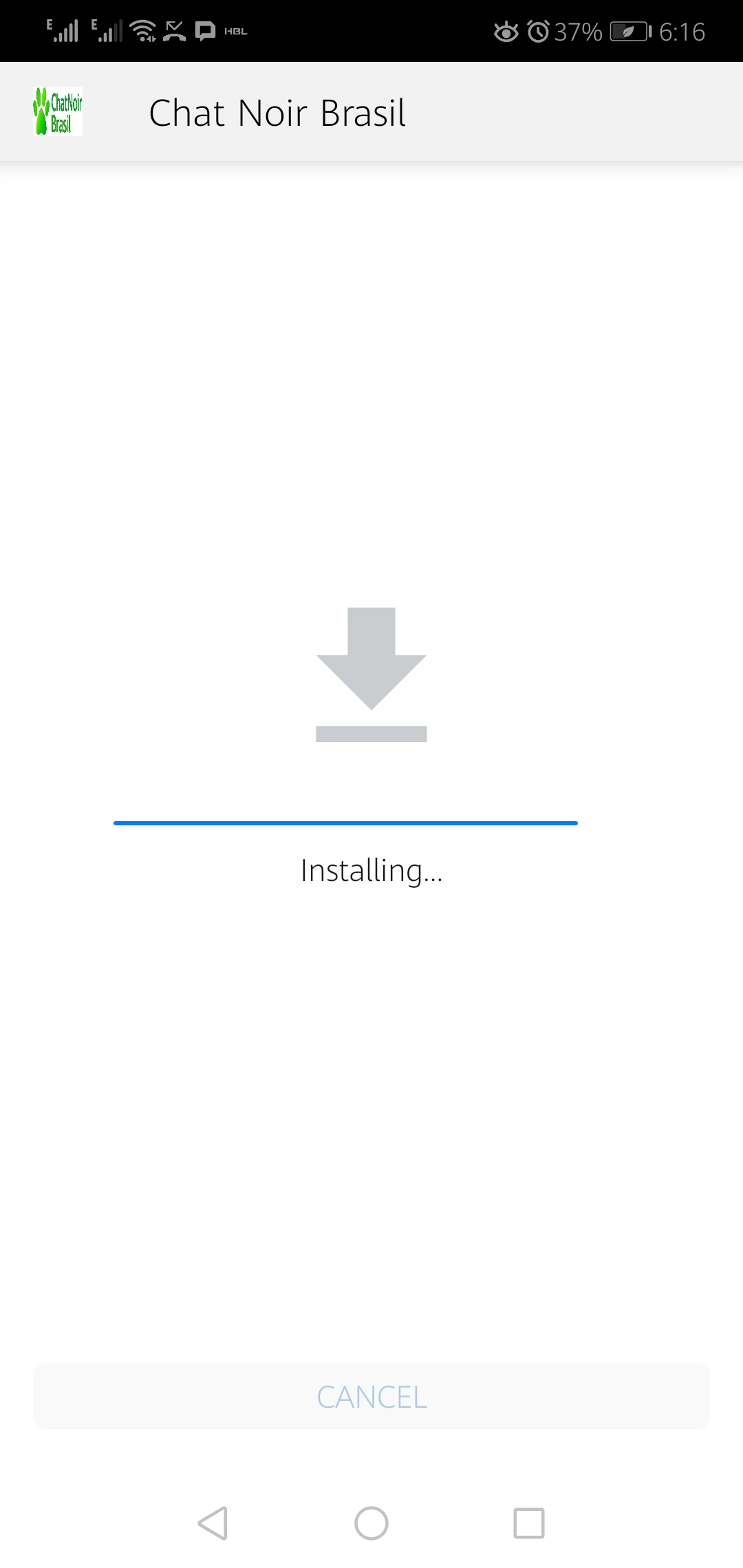 Screenshot Of Chat Noir Brasil